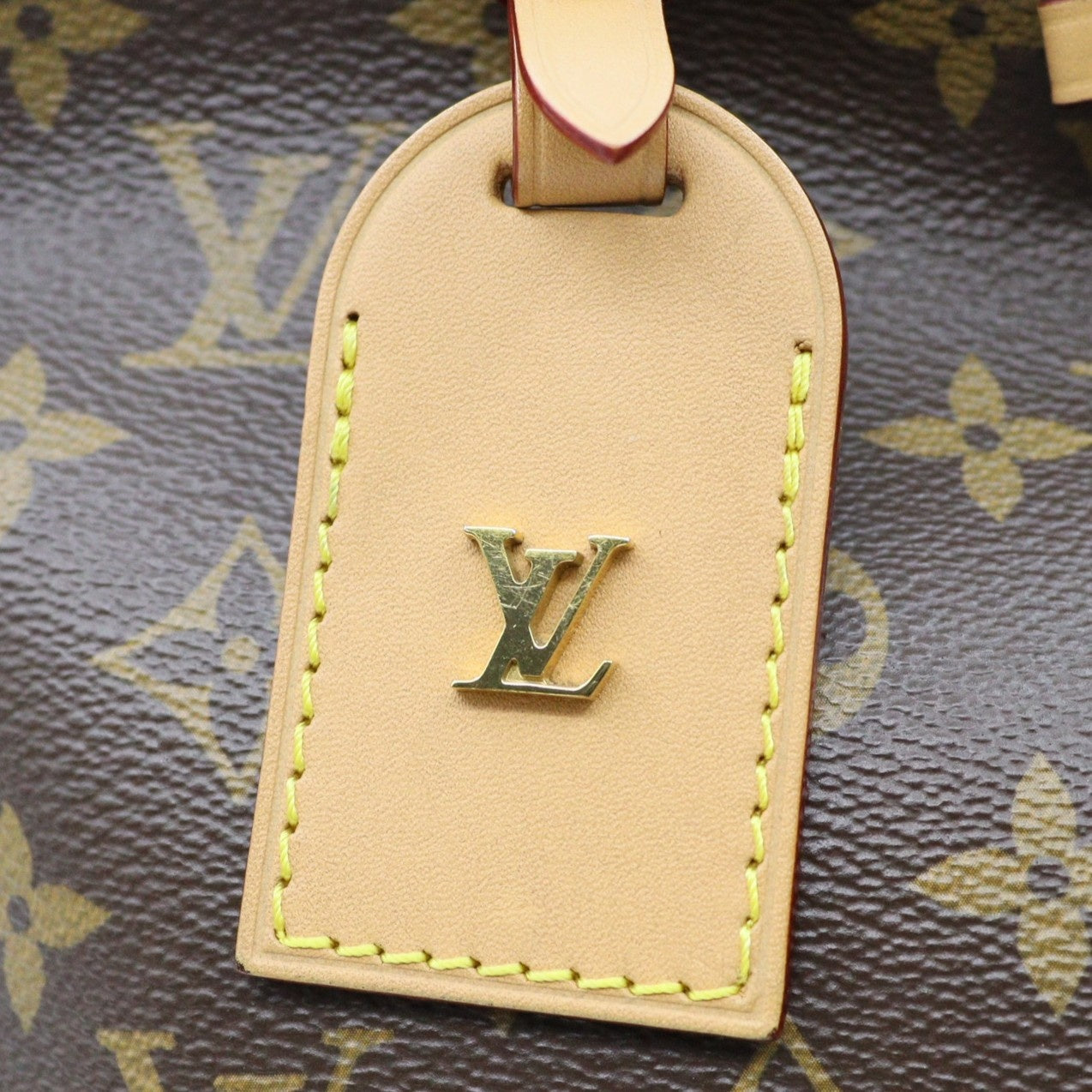 Louis Vuitton Carryall MM Shoulder bag M46197