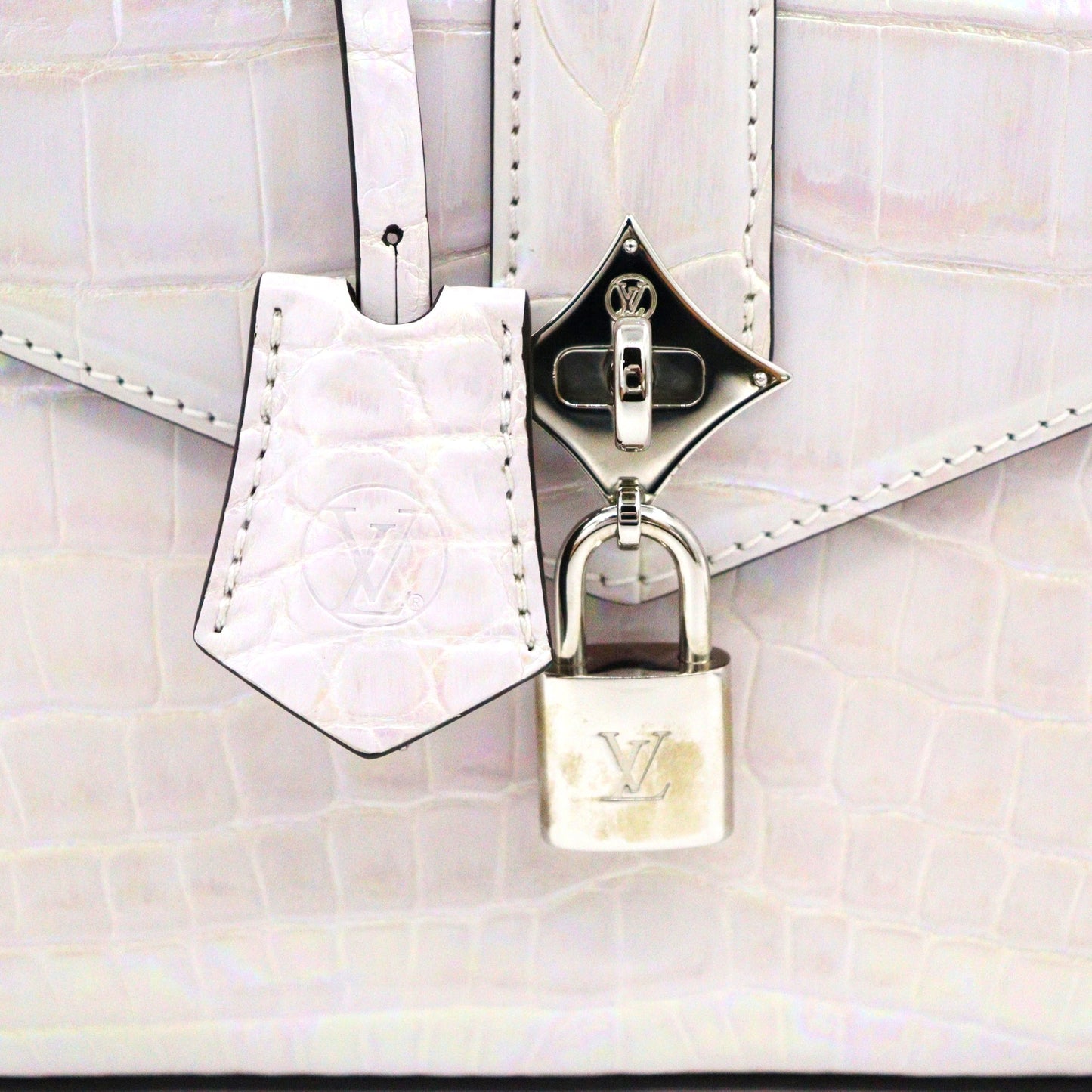 Louis Vuitton Rose Des Vents Mini 2way Shoulder N85444
