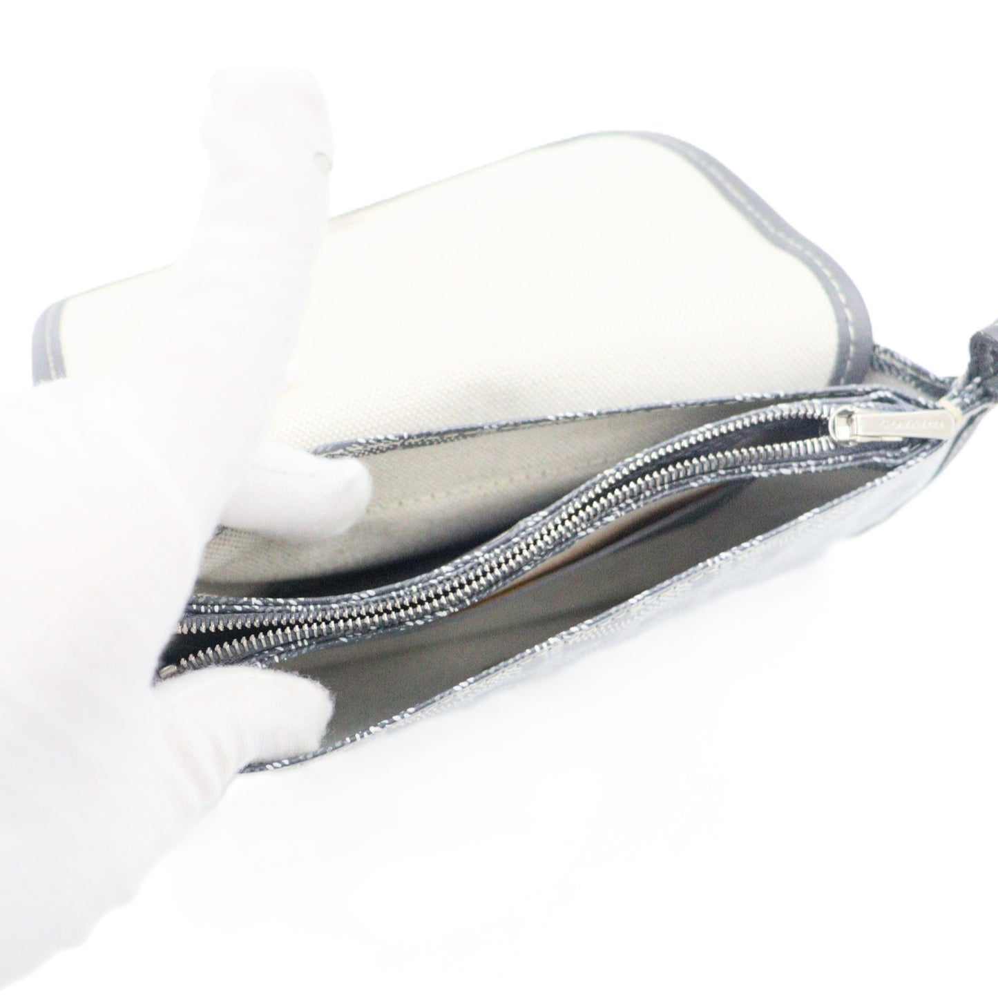 Goyard Plumet Pouch-Wallet Shoulder bag PLUMETPMLTY51CL51P