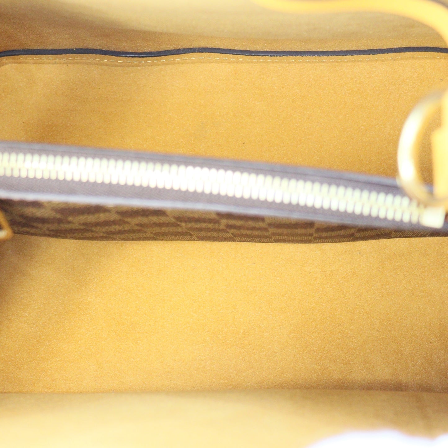 Louis Vuitton NeoNoe Shoulder bag N40213