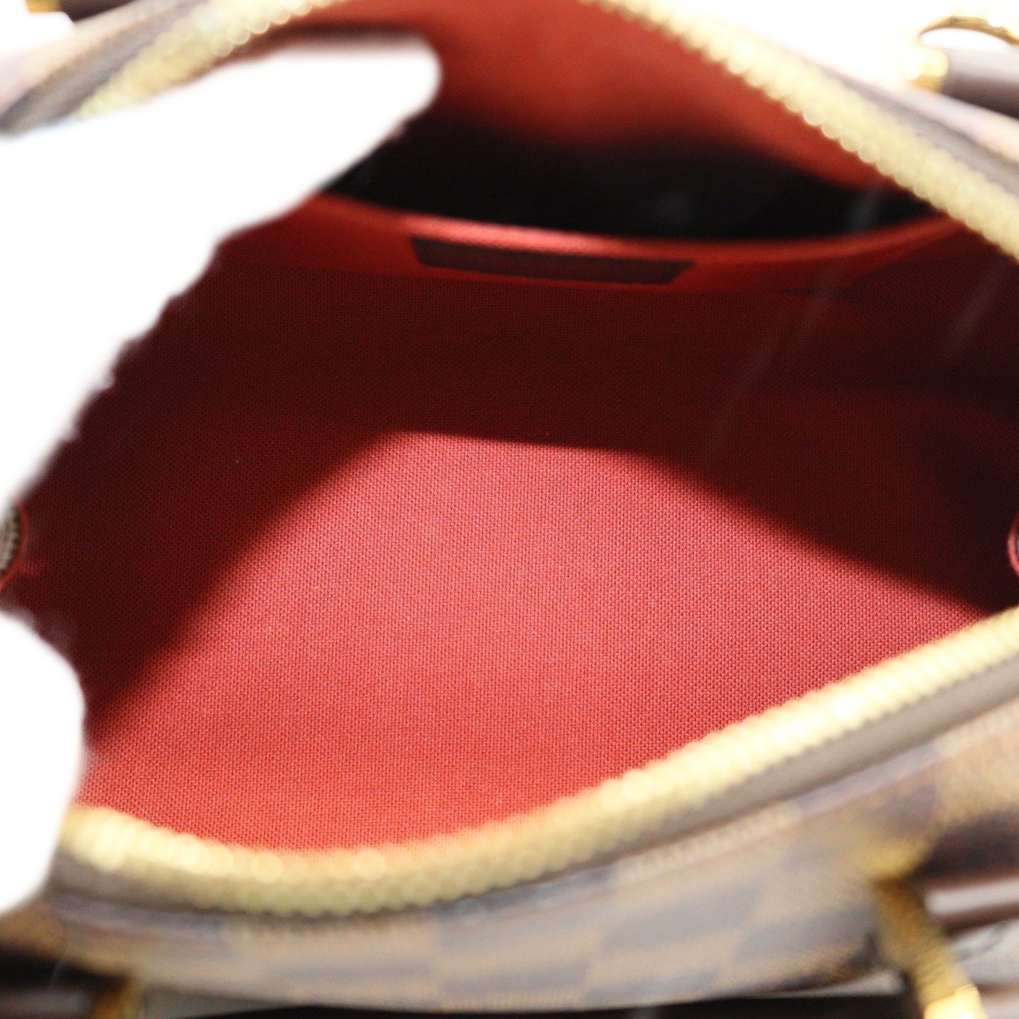 Louis Vuitton Rivera Mini Handbag N41436