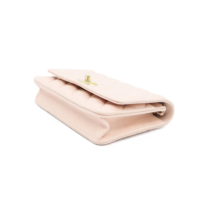 Chanel Seasonal Chain wallet AP3694