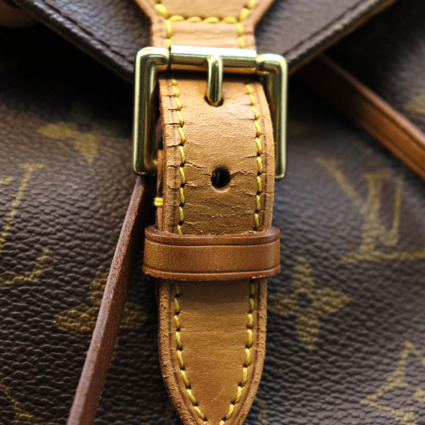 Louis Vuitton Montsouris MM Backpack M51136