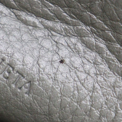 Bottega Veneta Clutch 303726