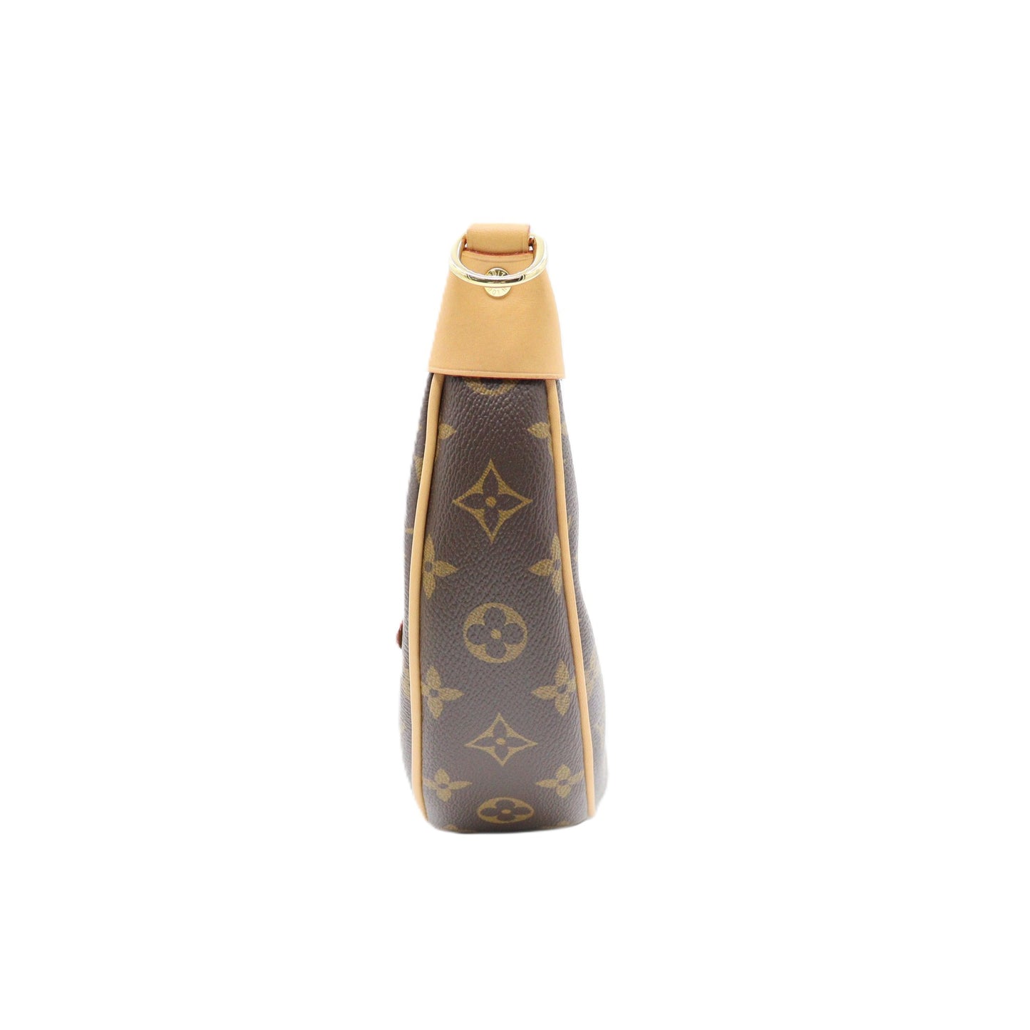 Louis Vuitton Loop Chain Shoulder M81098