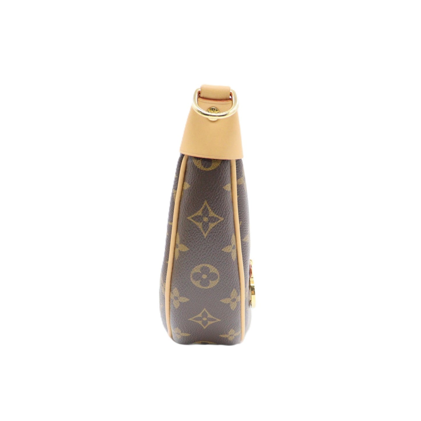 Louis Vuitton Loop Chain Shoulder M81098