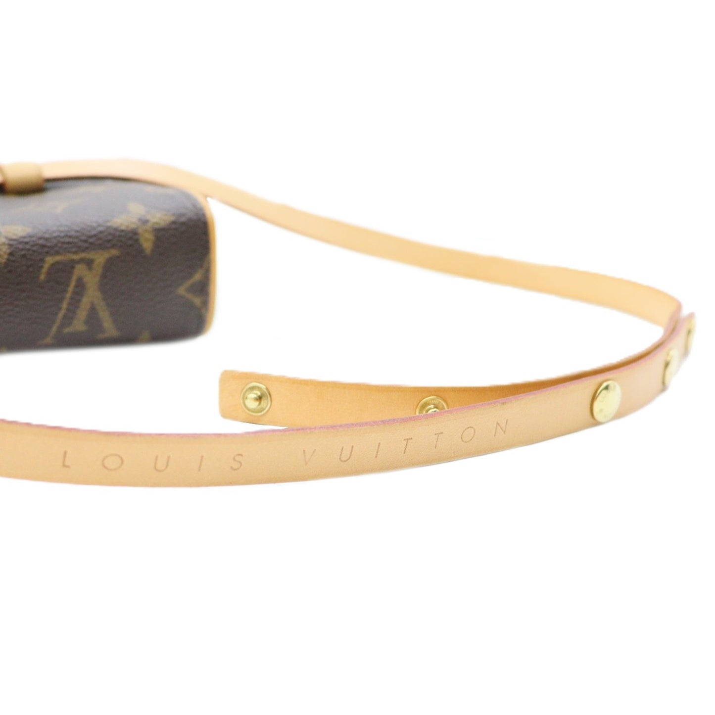 Louis Vuitton Pochette Florentine Belt Bag M51855