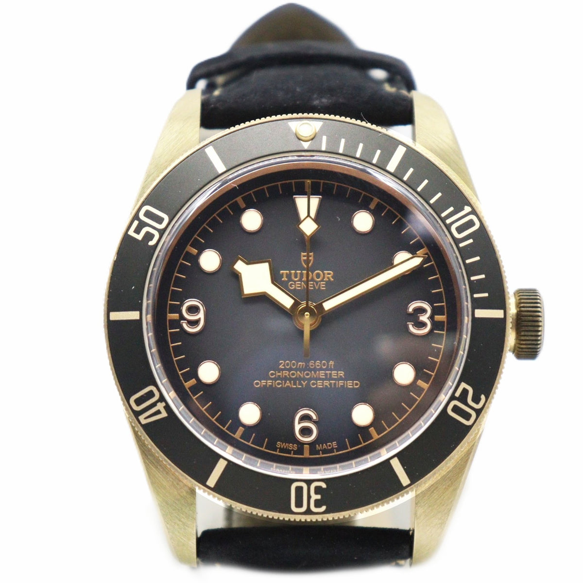 Tudor Black Bay Automatic 79250BA