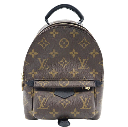 Louis Vuitton Palm Spring Mini Backpack M44873