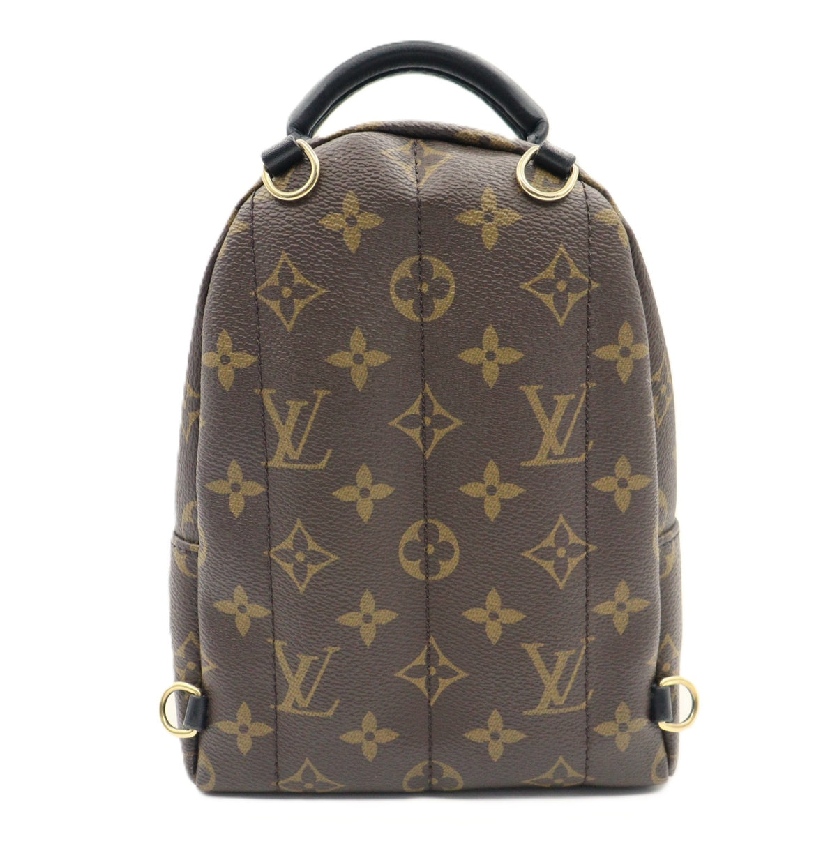 Louis Vuitton Palm Spring Mini Backpack M44873