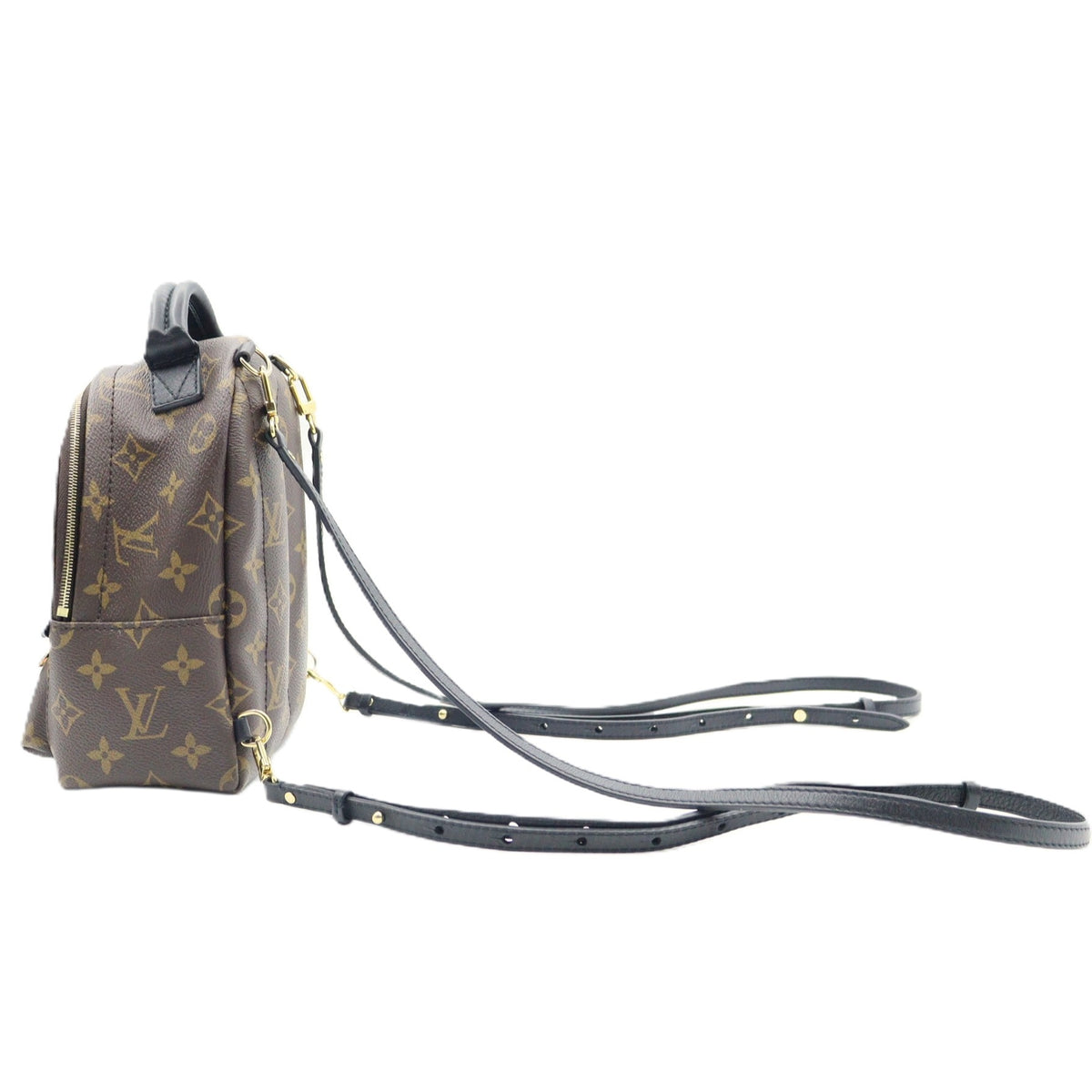 Louis Vuitton Palm Spring Mini Backpack M44873