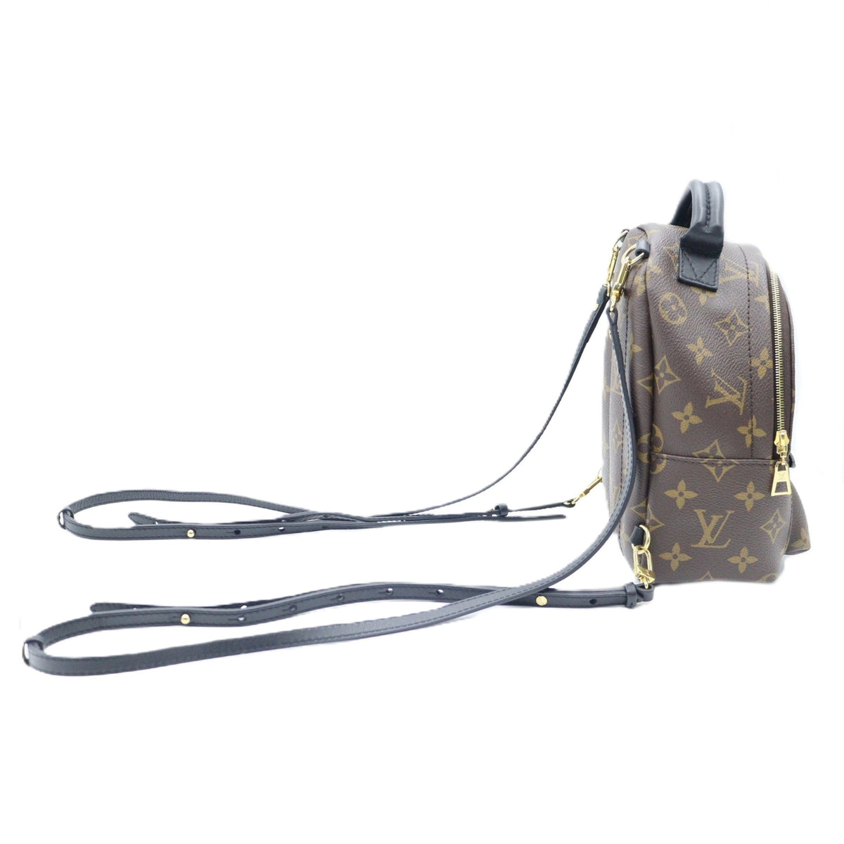 Louis Vuitton Palm Spring Mini Backpack M44873
