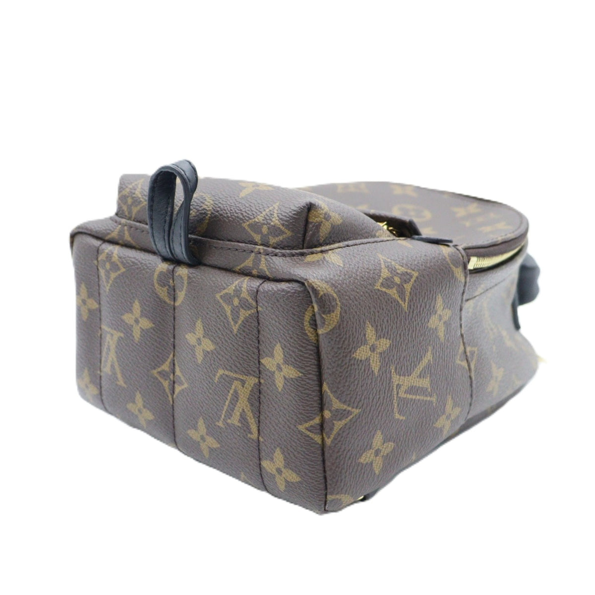Louis Vuitton Palm Spring Mini Backpack M44873