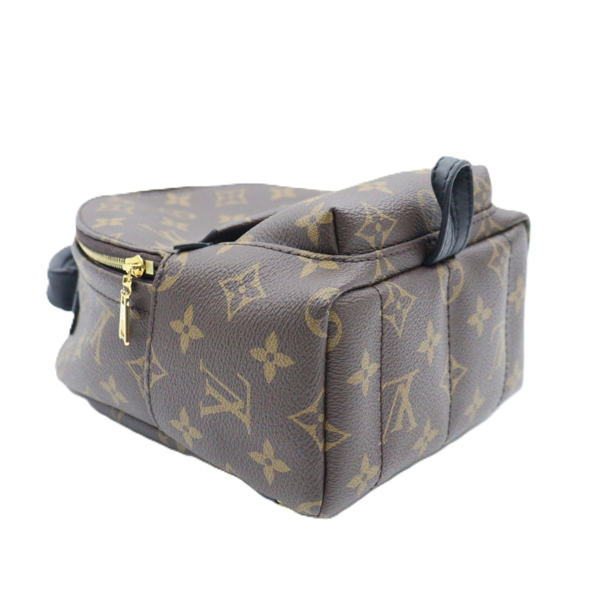 Louis Vuitton Palm Spring Mini Backpack M44873
