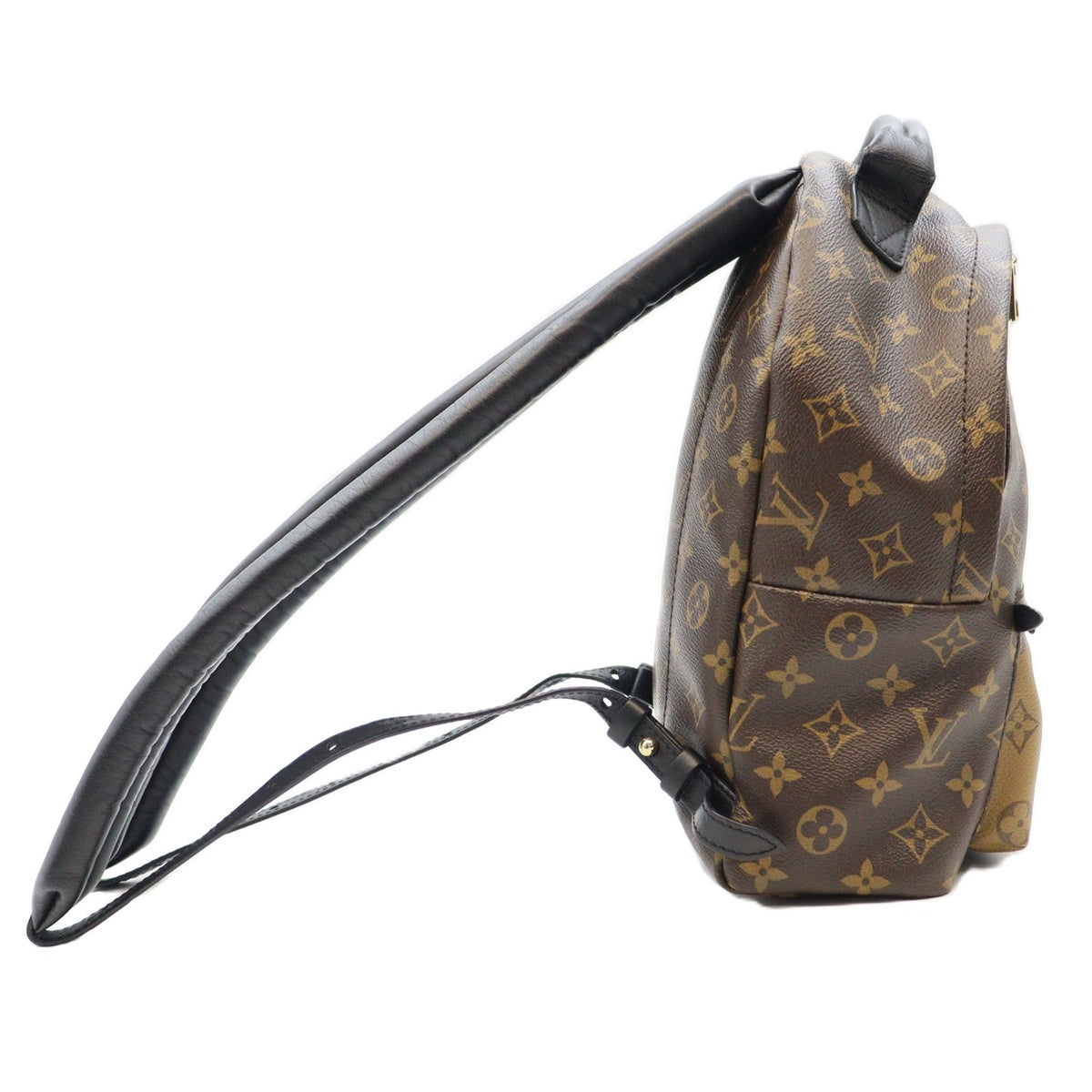Louis Vuitton Palm Spring PM Backpack M43116