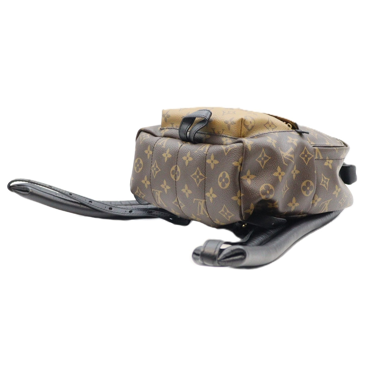 Louis Vuitton Palm Spring PM Backpack M43116