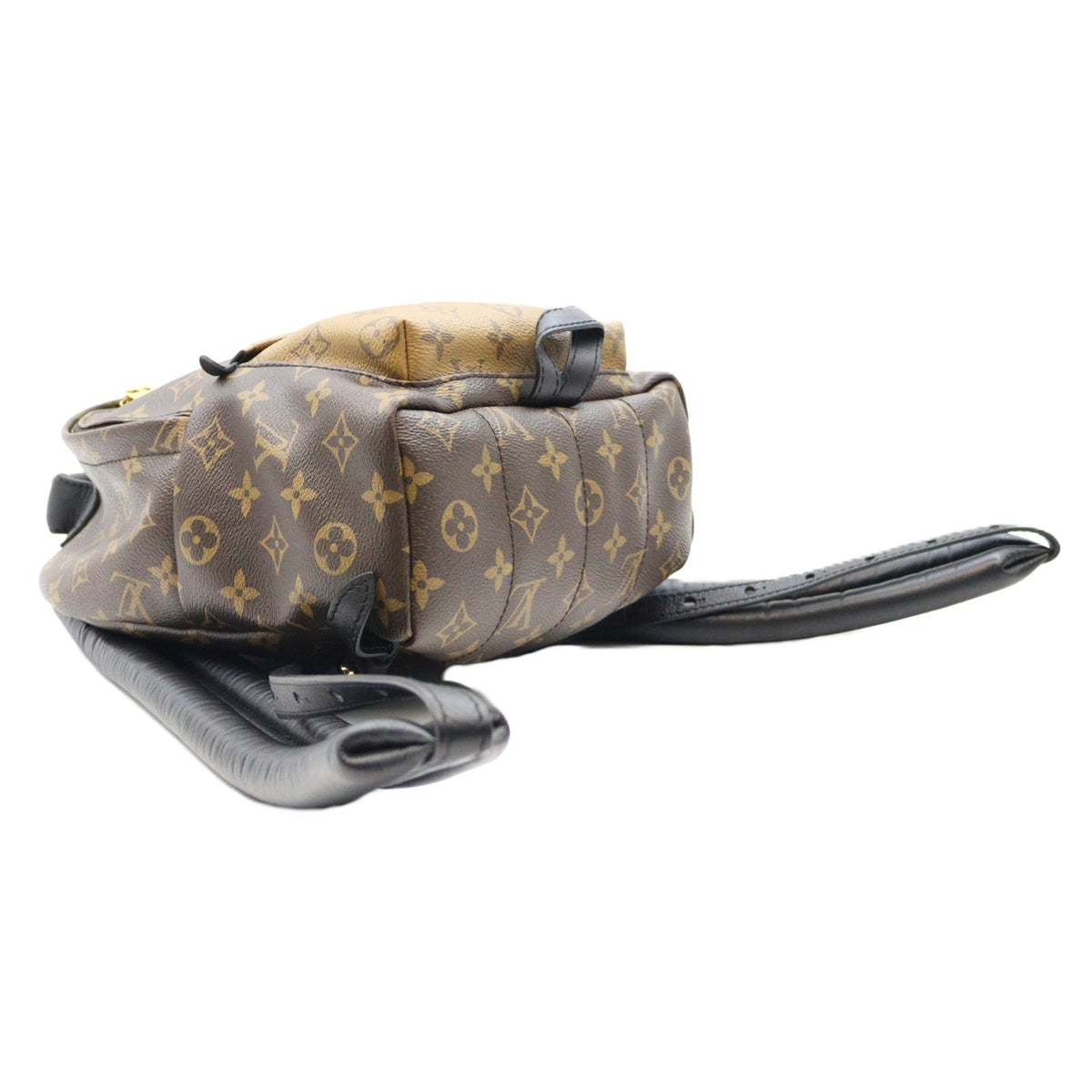 Louis Vuitton Palm Spring PM Backpack M43116