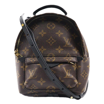 Louis Vuitton Palm Spring Mini Backpack M41562