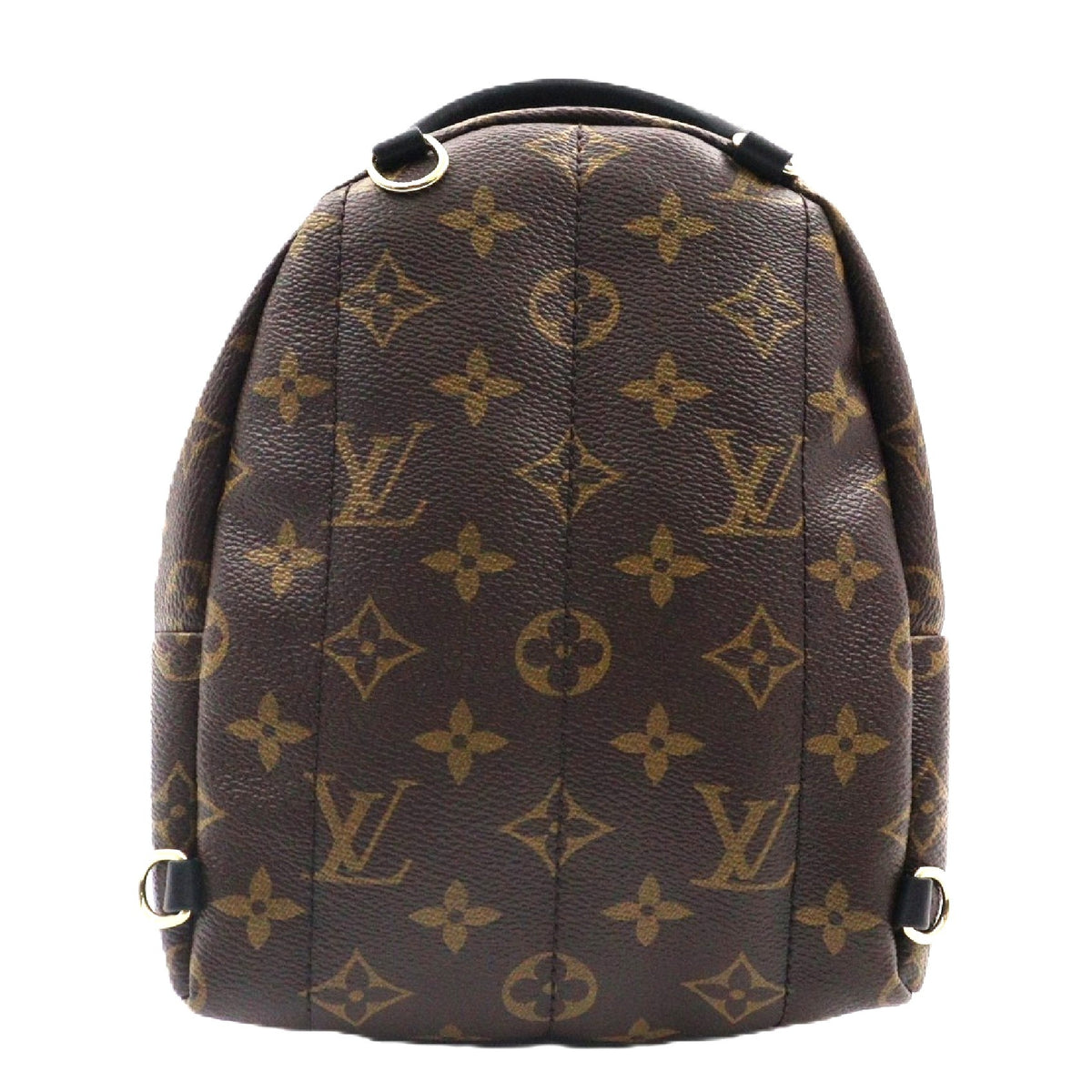 Louis Vuitton Palm Spring Mini Backpack M41562