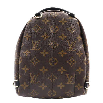 Louis Vuitton Palm Spring Mini Backpack M41562