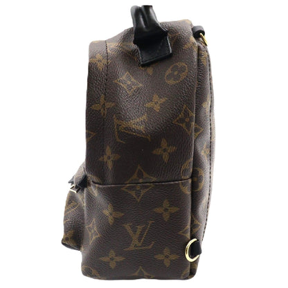 Louis Vuitton Palm Spring Mini Backpack M41562