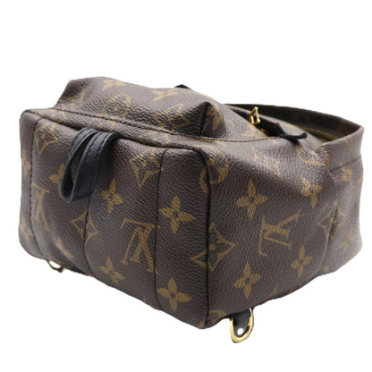 Louis Vuitton Palm Spring Mini Backpack M41562