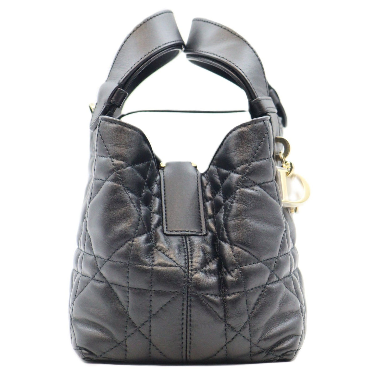 Dior Dior Toujours Small Handbag M28220SNW_M900
