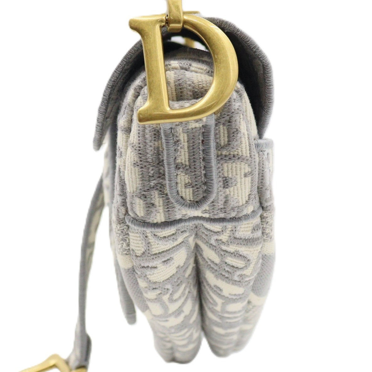 Dior Saddle Medium Shoulder bag M0446