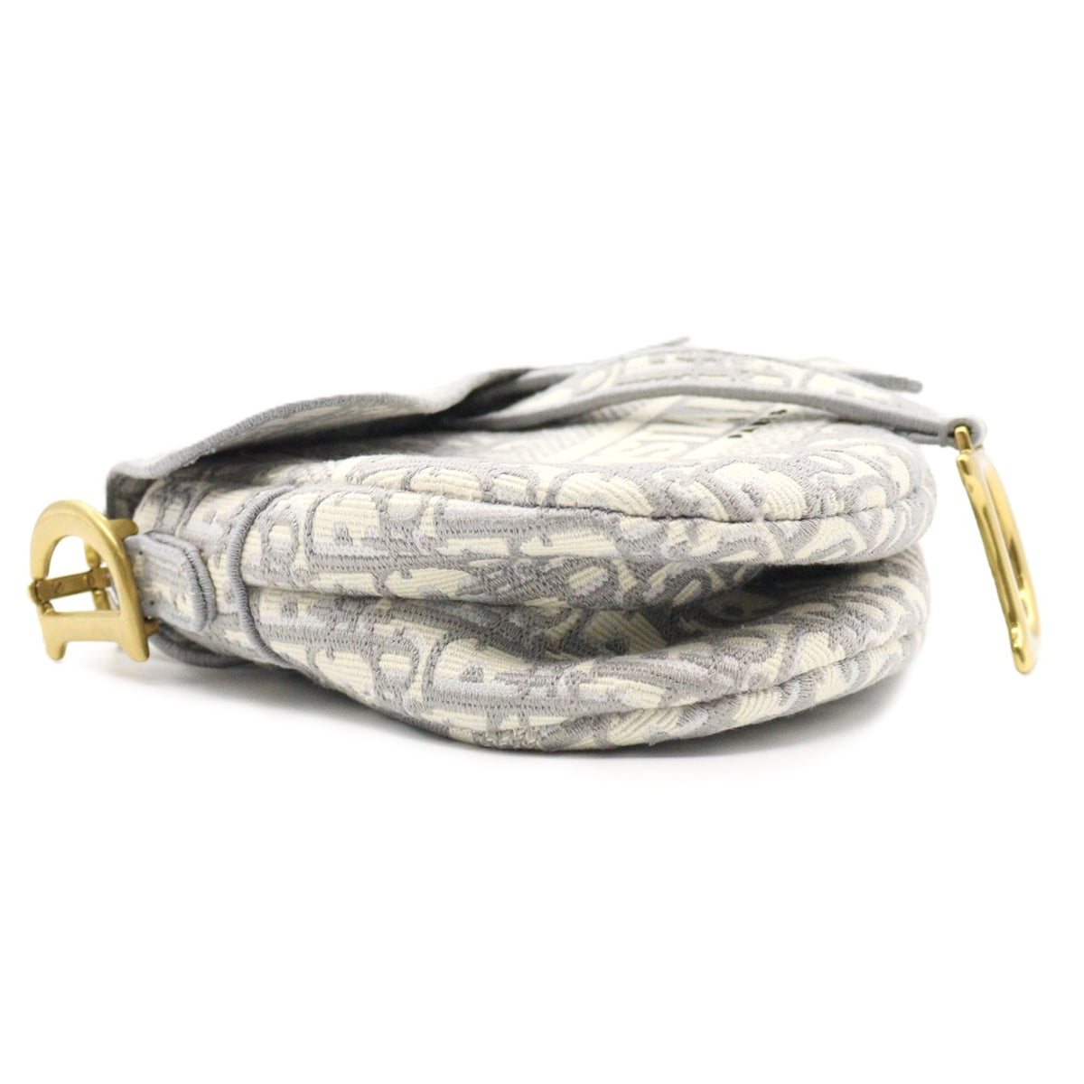 Dior Saddle Medium Shoulder bag M0446