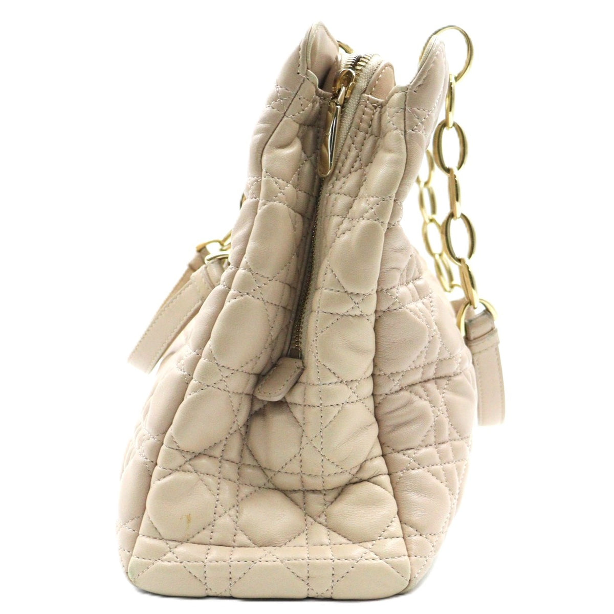 Dior Soft Totebag CAL44956G
