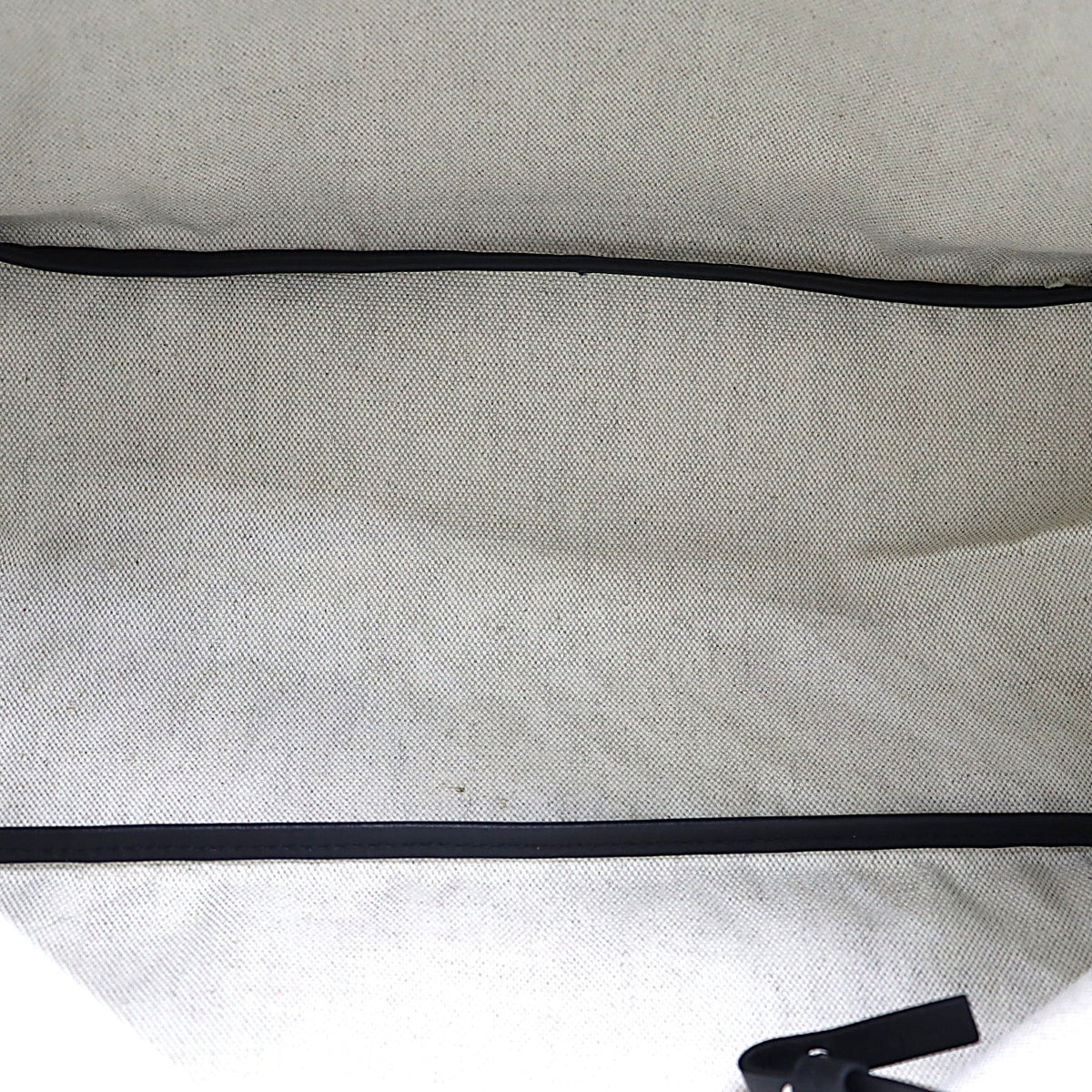 Goyard Saint Louis PM Totebag